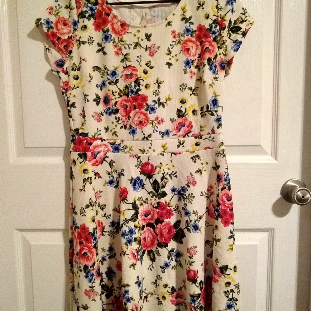Gilli flowered dress.